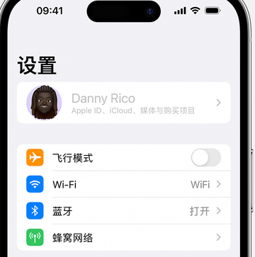 鲅鱼圈appleID维修服务iPhone设置中Apple ID显示为灰色无法使用 