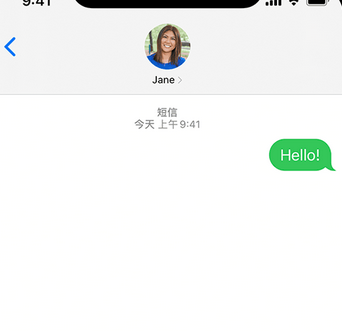 鲅鱼圈apple维修iPhone上无法正常发送iMessage信息