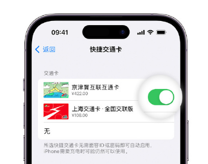 鲅鱼圈apple维修点分享iPhone上更换Apple Pay快捷交通卡手绘卡面 