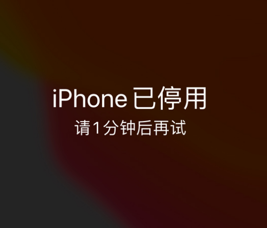 鲅鱼圈苹果手机维修分享:iPhone 显示“不可用”或“已停用”怎么办？还能保留数据吗？ 