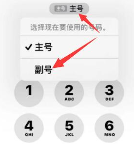 鲅鱼圈苹果14维修店分享iPhone 14 Pro Max使用副卡打电话的方法 
