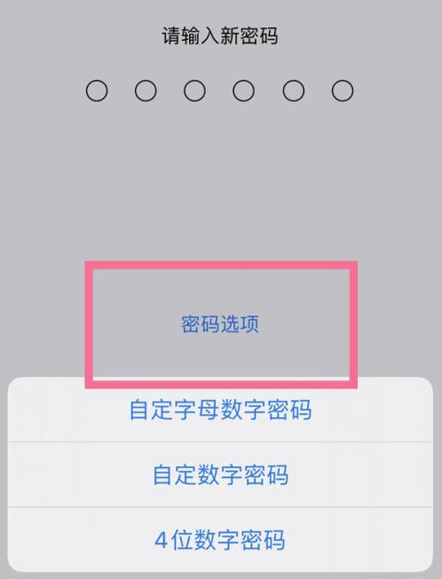 鲅鱼圈苹果14维修分享iPhone 14plus设置密码的方法 