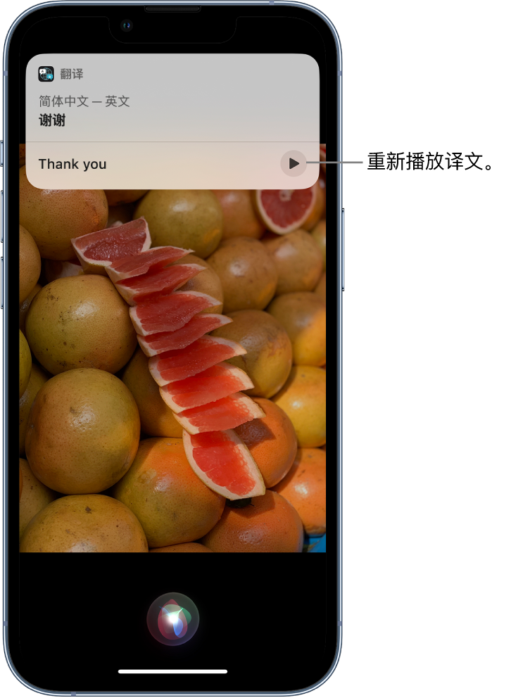 鲅鱼圈苹果14维修分享 iPhone 14 机型中使用 Siri：了解 Siri 能帮你做什么 